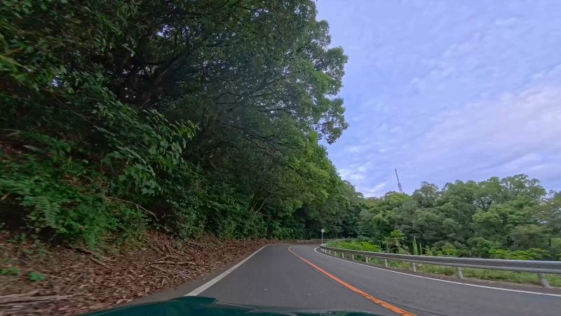 金甲山